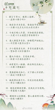 關(guān)于在實踐中學會運用的詩句名言警句