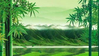 關(guān)于冬天的竹子的詩句古詩