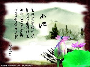 關(guān)于夏天要結(jié)束的詩(shī)句