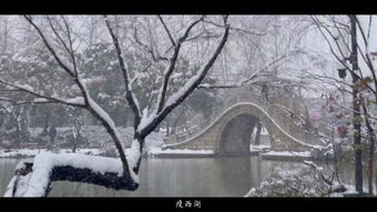 古詩中帶揚州雪的詩句