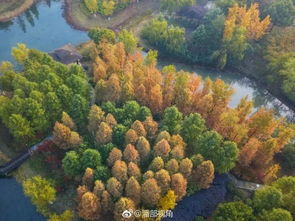 秋景古詩句