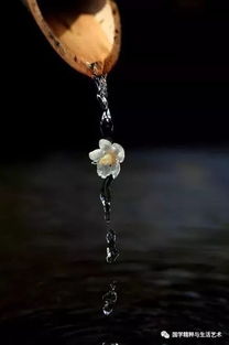 關(guān)于人生遇知己的詩句