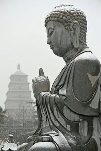關(guān)于冬雪長(zhǎng)安詩句古詩