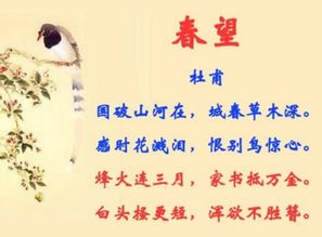 寫幾句表達(dá)思鄉(xiāng)情感的古詩句