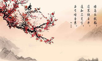 王安石梅花古詩(shī)句