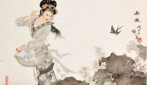 關(guān)于贊美女人美麗的詩句