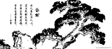 關(guān)于有松魄的詩句