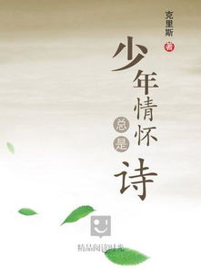 愛國(guó),詩句,情懷