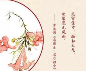 詩(shī)句,元宵節(jié),飲酒