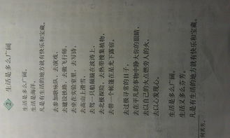 關(guān)于生活體驗(yàn)的古詩(shī)句