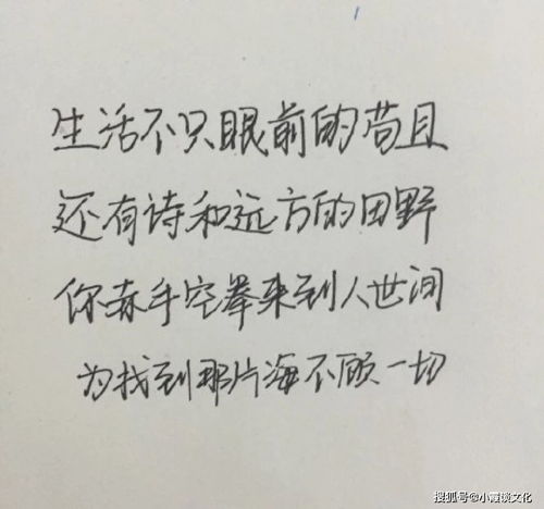 表示努力的詩句,表示努力向上的詩句,表示努力上進(jìn)的詩句