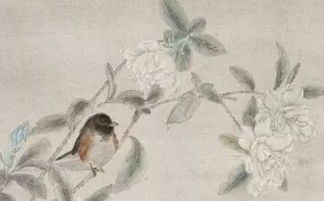 指寫桂花的古詩句,描寫桂花的古詩句,關(guān)于桂花的古詩句