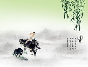 關于清明和端午節(jié)的詩句