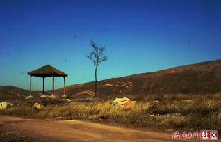 關(guān)于凍雨的詩句