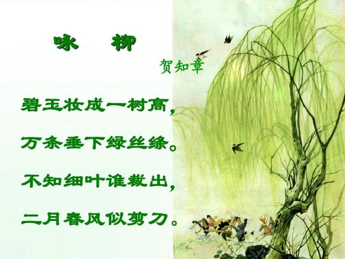 詠柳的古詩句子