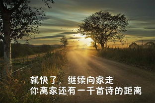 我是,誰的,詩(shī)句