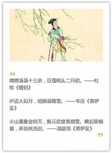 抱負(fù),詩句,抒發(fā)