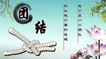 關于工作團結(jié)的一篇詩句
