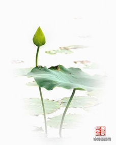 關(guān)于平等的詩句古詩詞