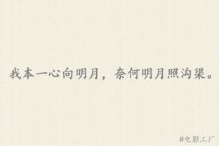 關(guān)于不要你了的詩(shī)句