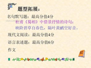 詩句,抒情,詩中