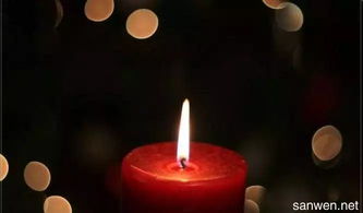 悼念父母的古詩(shī)句