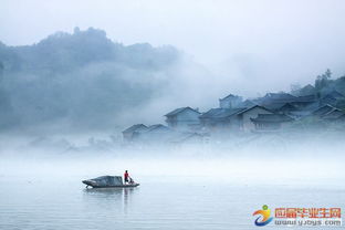 關(guān)于細(xì)雨傷感的詩(shī)句