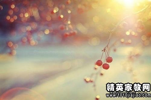 優(yōu)美的詩句關于青春