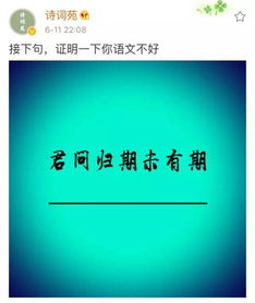 關(guān)于吸引粉絲的詩句