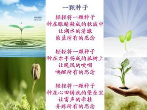關(guān)于友愛的現(xiàn)代詩(shī)句