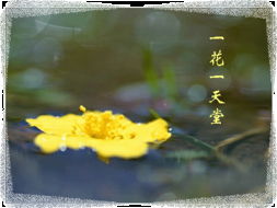 關(guān)于如若心清塵事遠(yuǎn)的詩句