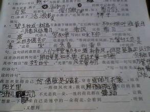 關(guān)于寫景的經(jīng)典詩句