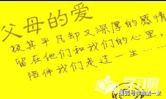 寫(xiě)兩句表現(xiàn)偉大母愛(ài)或父愛(ài)的古詩(shī)句