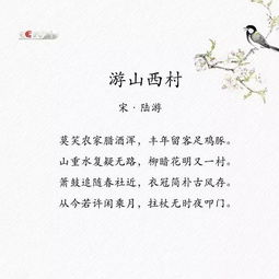 詩句,詩人,體現(xiàn),生態(tài)