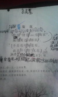 4句交友古詩句
