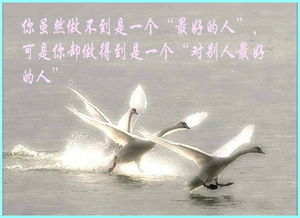 關(guān)于父母愛的古詩(shī)句子