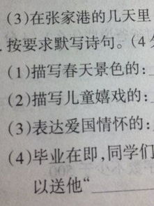 八寫愛國(guó)情懷的古詩句