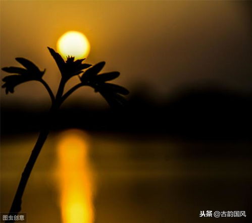 關(guān)于思鄉(xiāng)的詩(shī)句和名言,關(guān)于思鄉(xiāng)的名言不要詩(shī)句,思鄉(xiāng)的名言名句和詩(shī)句