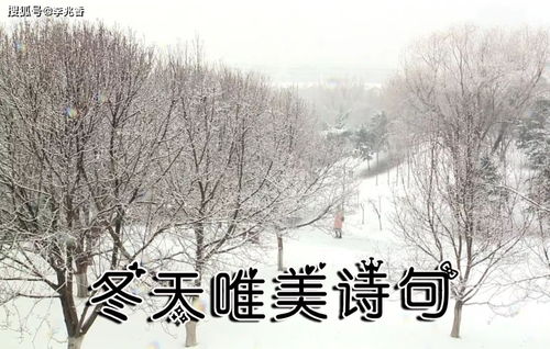 關(guān)于冬天的詩(shī)句有哪些古詩(shī),關(guān)于冬天的詩(shī)句古詩(shī),描寫冬天的詩(shī)句古詩(shī)