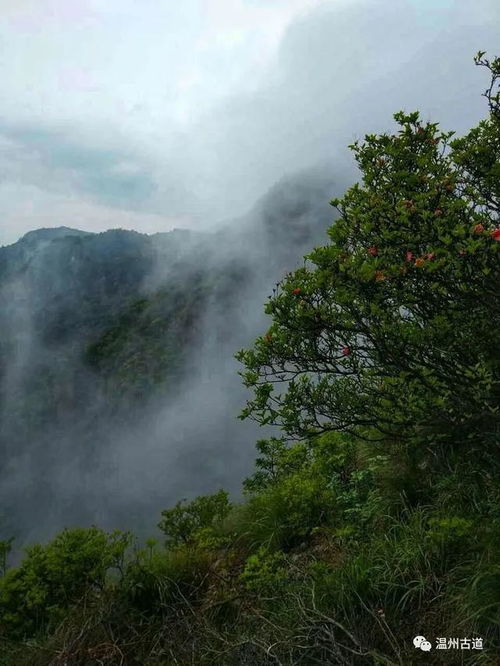 蒼山,詩句