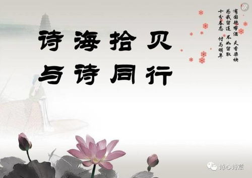 關(guān)于一起同行的詩句