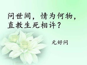 留住,卻沒有,詩(shī)句,愛情