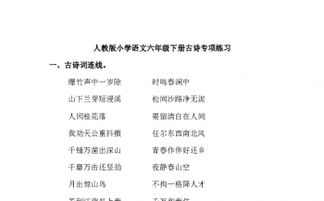 小學(xué)六級(jí)語(yǔ)文古詩(shī)句總復(fù)習(xí)