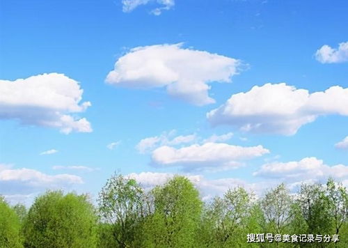關(guān)于風(fēng)景的開頭詩(shī)句