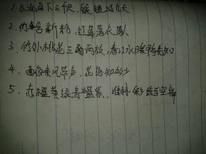 關(guān)于標(biāo)準(zhǔn)詩句