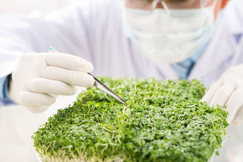 詩(shī)句,大自然,顏色