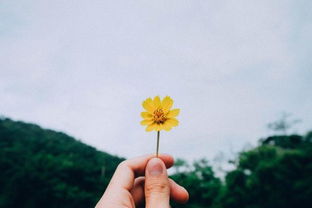 同路前行的古詩句