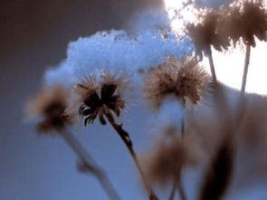 關(guān)于人生遇到貴人的詩(shī)句