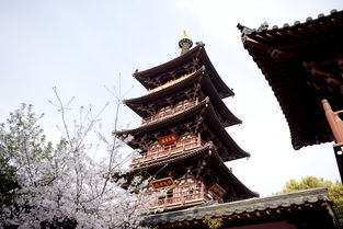 關(guān)于描寫寒山寺的詩(shī)句