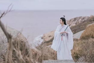 古詩中夸男子好看的詩句